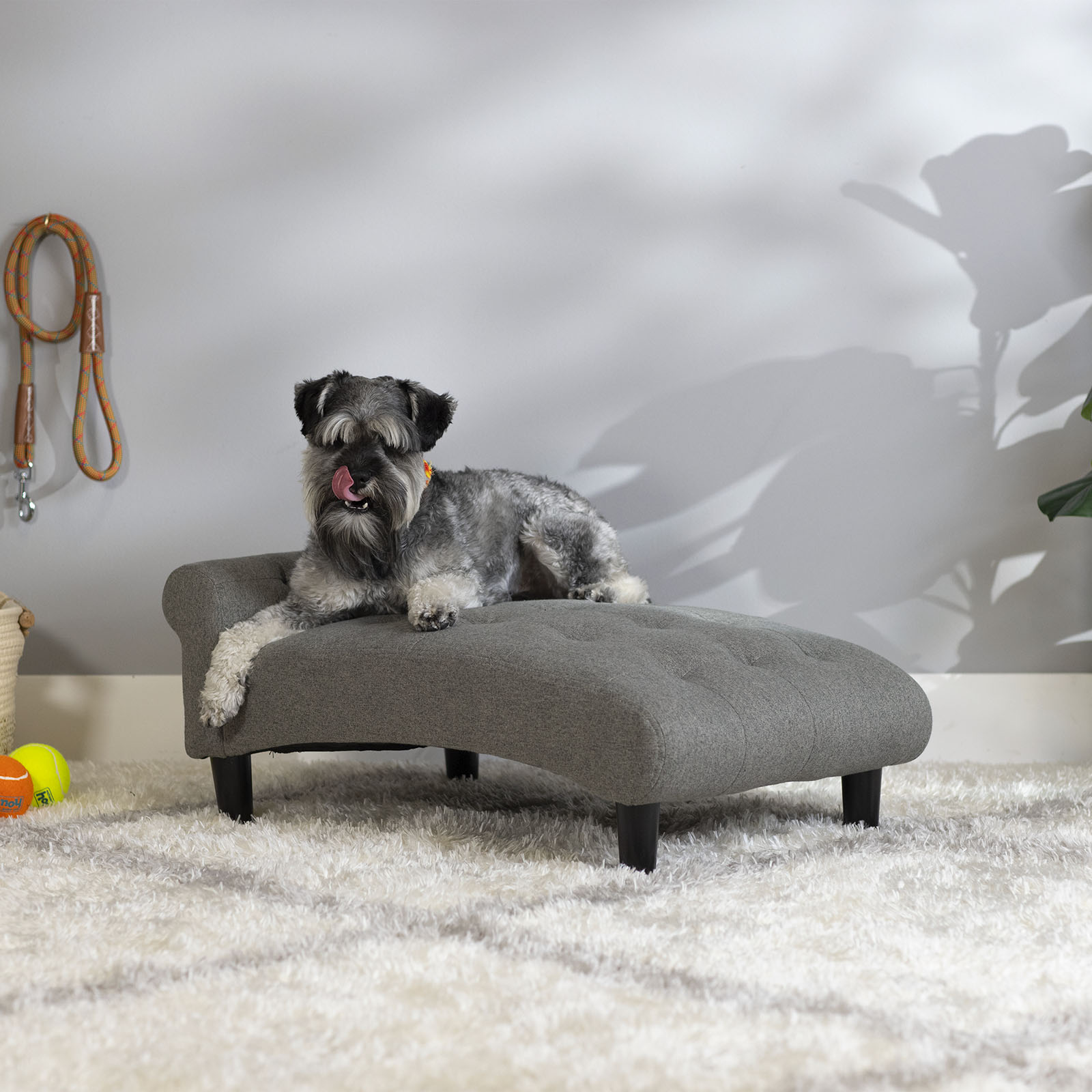 61200 Pet Chaise RS1M1a