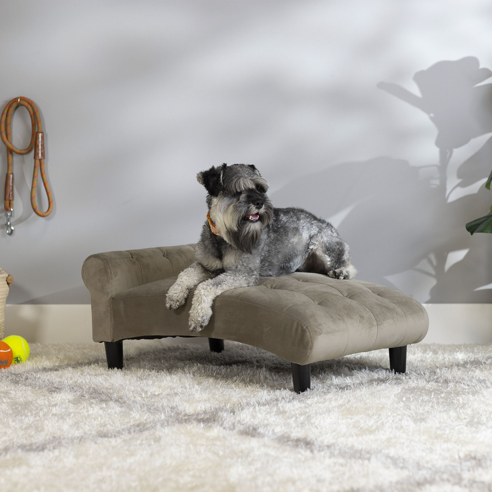 61201 Pet Chaise RS1M1b